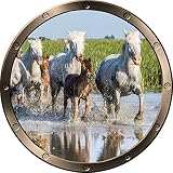 12 "舷窓Ship Seaウィンドウ自然ビューHorses in Water # 1 Pewter壁デカール子供ステッカーベビールームホームアート飾りden man caveグラフィックSmall