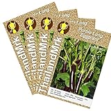 ナス Thai Long Eggplant 4 Bulk ThailandMrk