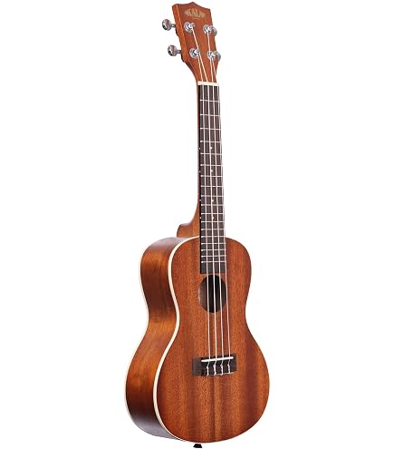 Amazon.co.jp: aNueNue aNN-MN14 ナイロン弦モデル 3/4 : 楽器・音響機器