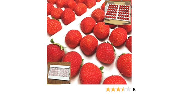 Amazon 業務用 苺 いちご 岐阜県産 すずあかね 300g 2p さんきん いちご 通販