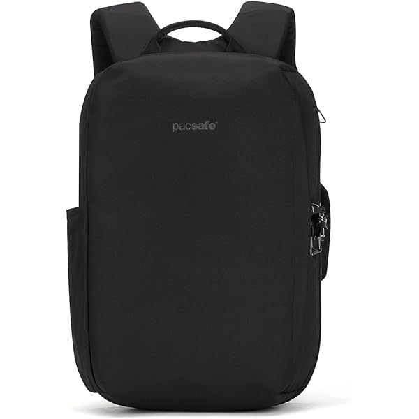 Amazon.co.jp: [パックセーフ] VIBE 25 リュック 25L JETBLACK