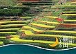 旧暦棚田ごよみ【平成30年版】壁掛けタイプ