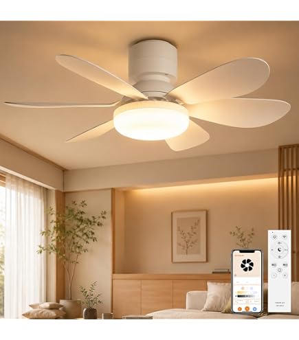 Amazon.co.jp : 【2026発売モデル】シーリングファンライト LED ファン