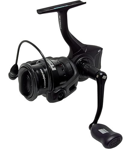 Amazon | AbuGarcia (アブガルシア) Roxani SP 2000SH ロキサーニ