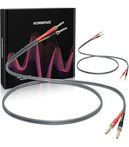 Amazon.co.jp: AET ジャンパーケーブル バナナ端子 4本 SIN-JUMPER-EVD