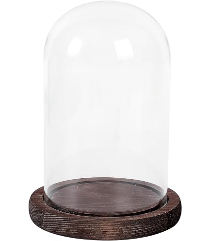 Amazon.co.jp: ダルトン(Dulton) ディスプレイ用品 グラスドーム