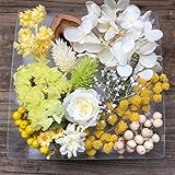 透明L ホワイト系グラデーション ミモザ ハーバリウム プリザーブド ドライフラワー
