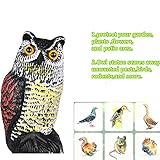 防鳥具ふくろう　鳥よけフクロウ　Zyurong　鳥追い首振りフクロウ　庭の装飾　【怖がらせ駆除 防鳥防獣対策】