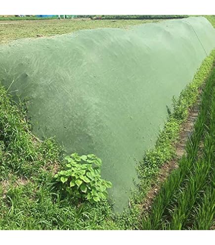 Amazon.co.jp: 北海道発送不可 雑草抑制おまかせネット 幅2m×50m巻