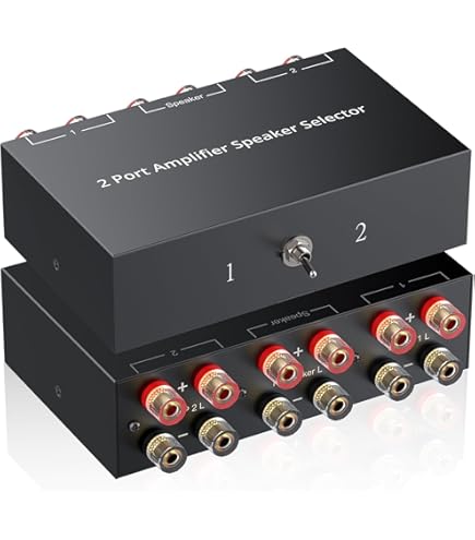 SOLUPEAK P2 2 Way Amp/Speaker Switch Selector Box, Passive Audio