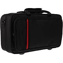 Amazon.co.jp: VICASKY クラリネットケース 黒い クラリネット