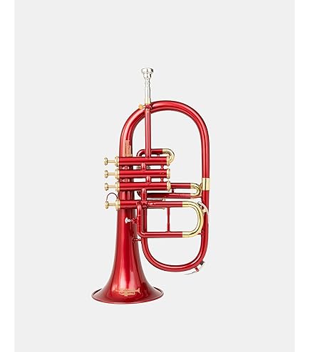 Amazon | Queen Brass Flugelhorn 4バルブ Bb/F ピッチ ケース付き Mp