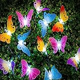 RaiFu ストリング ライト 太陽光発電 光ファイバー バタフライ ガーデン フラワーポット ホーム パーティー デコレーション 5M 20LED colorful