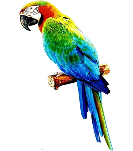 【新品】バカラ　鳥　 オウム 　動物　 置物 　バード オブジェ　クリスタル 新品】バカラ 鳥 オウム 動物 置物 バード オブジェ クリスタル