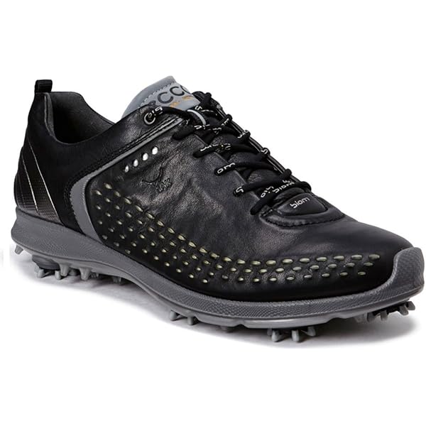 Amazon | ECCO メンズ US サイズ: 40 EU/6-6.5 M US カラー