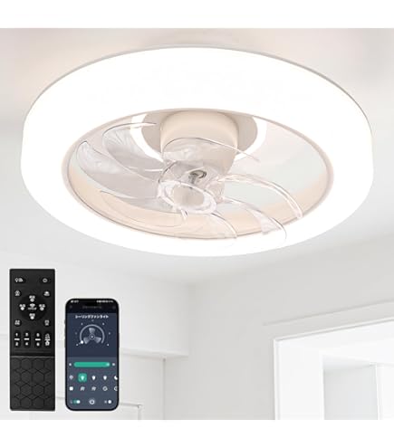 Amazon.co.jp : 【首振り・正逆回転・暖房活用に】ONRIU シーリング