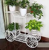 フラワースタンド/植物フローラルメタルスタンド屋内/屋外ガーデンストレージディスプレイスタンド（ホワイト） (色 : 2)