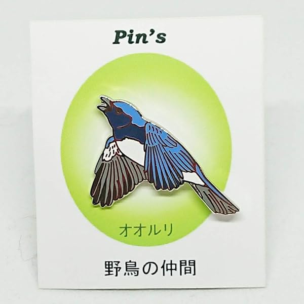 Amazon.co.jp: 野鳥 ルリビタキ ピンバッジ 野鳥 鳥 バード
