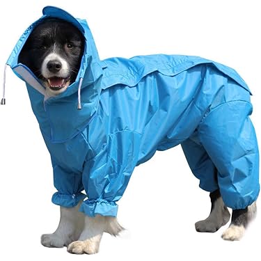 Amazon.co.jp 人気ギフトランキング: 犬用レインコート・ライフ