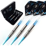 Cuesoul タングステンソフトチップダーツセット20g タングステン95% +ケース(SOFT-C1003-L)