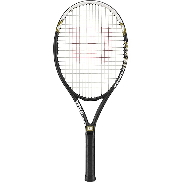 Amazon.co.jp: Wilson Advantage テニスバッグ 3パック - ブラック