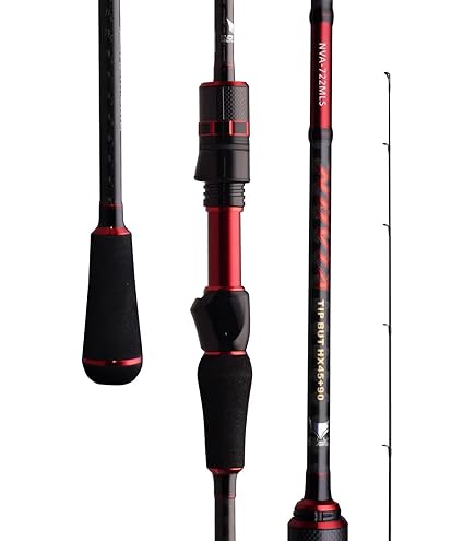 Amazon | ダイワ(DAIWA) エギングロッド エメラルダス STOIST AGS