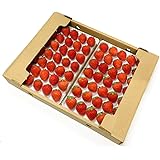 国産いちご 【Sサイズ（35粒～36粒）またはMサイズ（30粒）約250g×2トレー】 冬いちご 夏いちご 紅ほっぺ きらぴ香 サマープリンセス サマーリリカル すずあかね 苺 イチゴ 果物 フルーツ ギフト ストロベリー 業務用 ケーキ