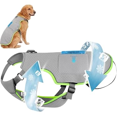 Amazon.co.jp 最新リリース: 犬用コート・ジャケット の新着ランキング