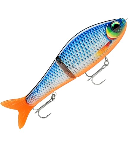 Amazon.co.jp: Rapala(ラパラ) ビッグベイト スーパーシャッドラップ