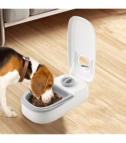 Amazon | Kisigim ドギーマン おるすばん食器 ペット自動給餌タイマー