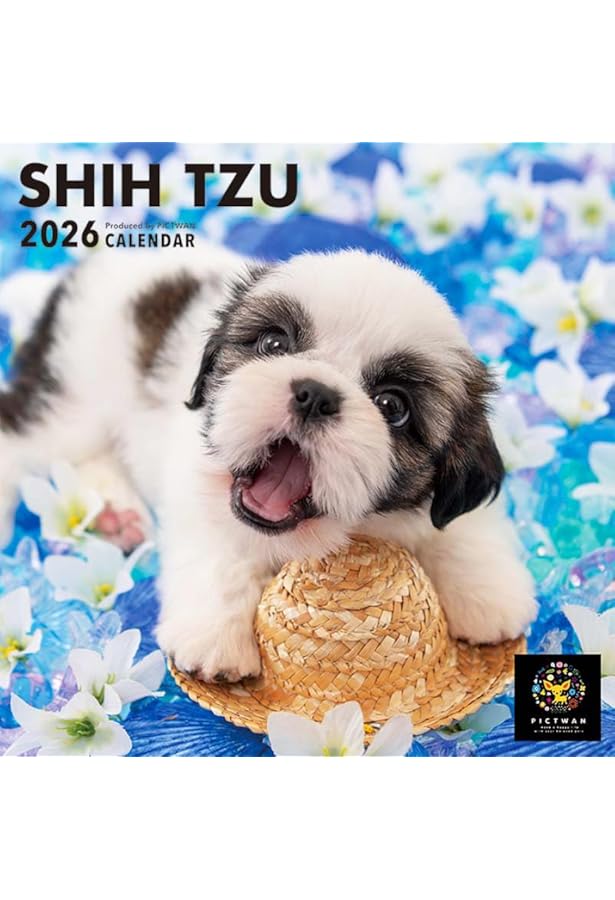 0歳からシニアまで シー・ズーとのしあわせな暮らし方 | Wan編集部