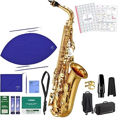 アルトサックスSelectionSAS-50L 美中古品ケース付き入門用練習