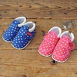 STAMPLE(スタンプル) ドット ファーストシューズ (12cm) 　 12cm,26 ピンク
