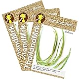 ジュウロクササゲ Thai Yard Long Bean 3 Bulk ThailandMrk