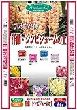 大宮グリーンサービス プレミアムソイル洋ラン・シンビジュームの土 14L