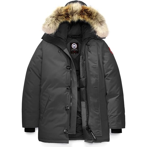 Amazon | [カナダグース] ダウンジャケット メンズ CANADA GOOSE