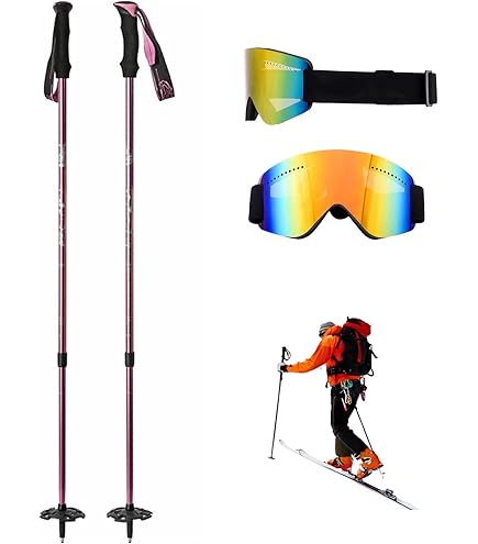 Amazon | SCOTT(スコット) スコット スキーポール PROGUIDE SRS 伸縮式