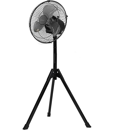 木扇 (縞黒檀製・細身) Amazon.co.jp: 木扇 縞黒檀製 細身 : ホーム＆キッチン