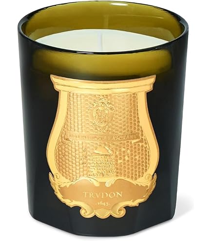 Amazon.co.jp: Cire Trudon Saltaキャンドル (9.5オンス) : ホーム
