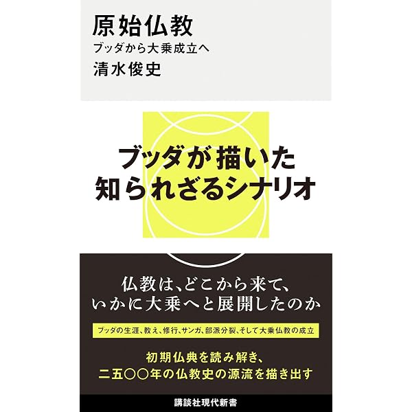 中国撰述仏典研究の新展開: 儒仏道三教の交渉 | 池平紀子 |本 | 通販