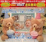 トーキング ベアペア（赤・青）と高級フォトフレーム（ブルー）のセット、出産祝い、出産記念、誕生日プレゼント、誕生日ギフト、送料無料(沖縄と離島を除く)