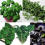 国華園　ハーブたね　ハーブ全開！大活躍ハーブ5種セット【※発送が国華園からの場合のみ正規品です】