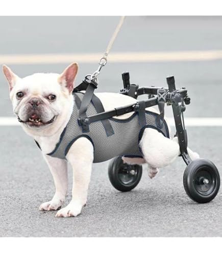 Amazon.co.jp: JELFUNY 犬用車椅子 犬用歩行器 ペット車椅子 2輪 4輪