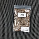 盆栽種子：五葉松 *【お得】【大袋】