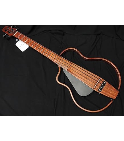 Amazon | NATASHA NBSG Bass Fretless | アコースティック・エレアコ