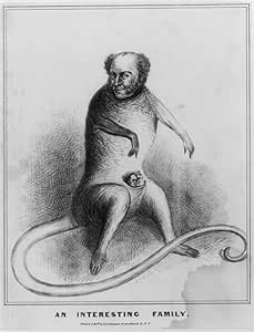 Amazon 1840フォトにおもしろいファミリa Caricature Of Martin Van Buren As An Opossum The Marsupial With A Smirking Van Burenのヘッド Risesそのhindquartersとで表示されそのポーチにその3つの Youn キッチン用品 オンライン通販