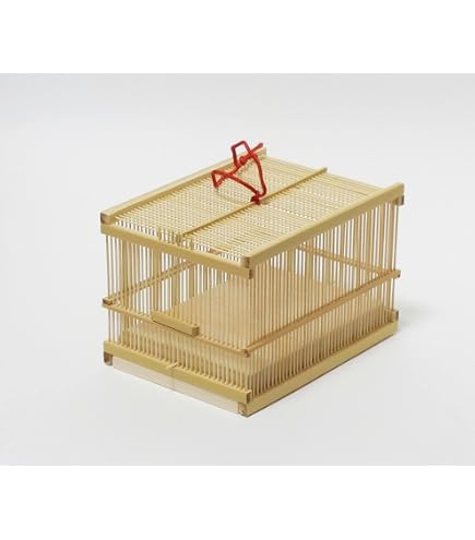 Amazon.co.jp: 駿河竹千筋細工 角型虫篭 虫籠 静岡県伝統工芸品 久保田