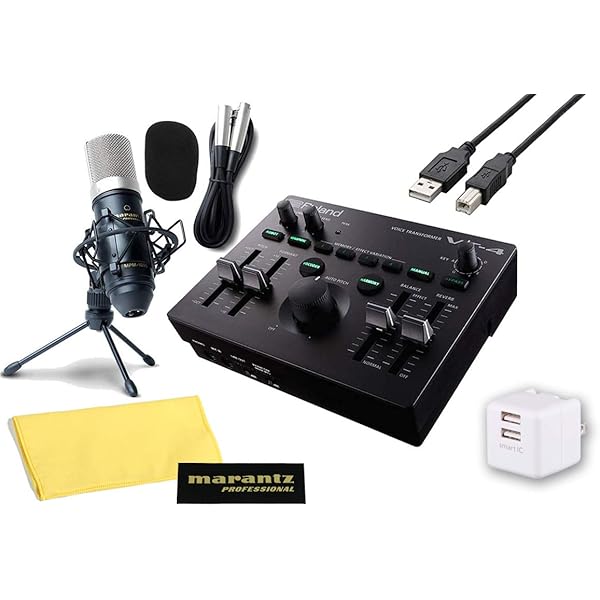 Amazon.co.jp: ROLAND/VT-4 コンデンサーマイクセット -USB2ポートAC  