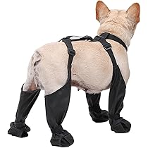 Amazon.co.jp: 犬用レッグカバー 屋外四本足パンツ 犬用シューズ