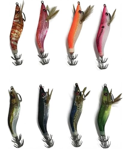 Amazon | RUNA HISANO(ルナヒサノ) 餌木五郎 エギ5本セット+ケース付き